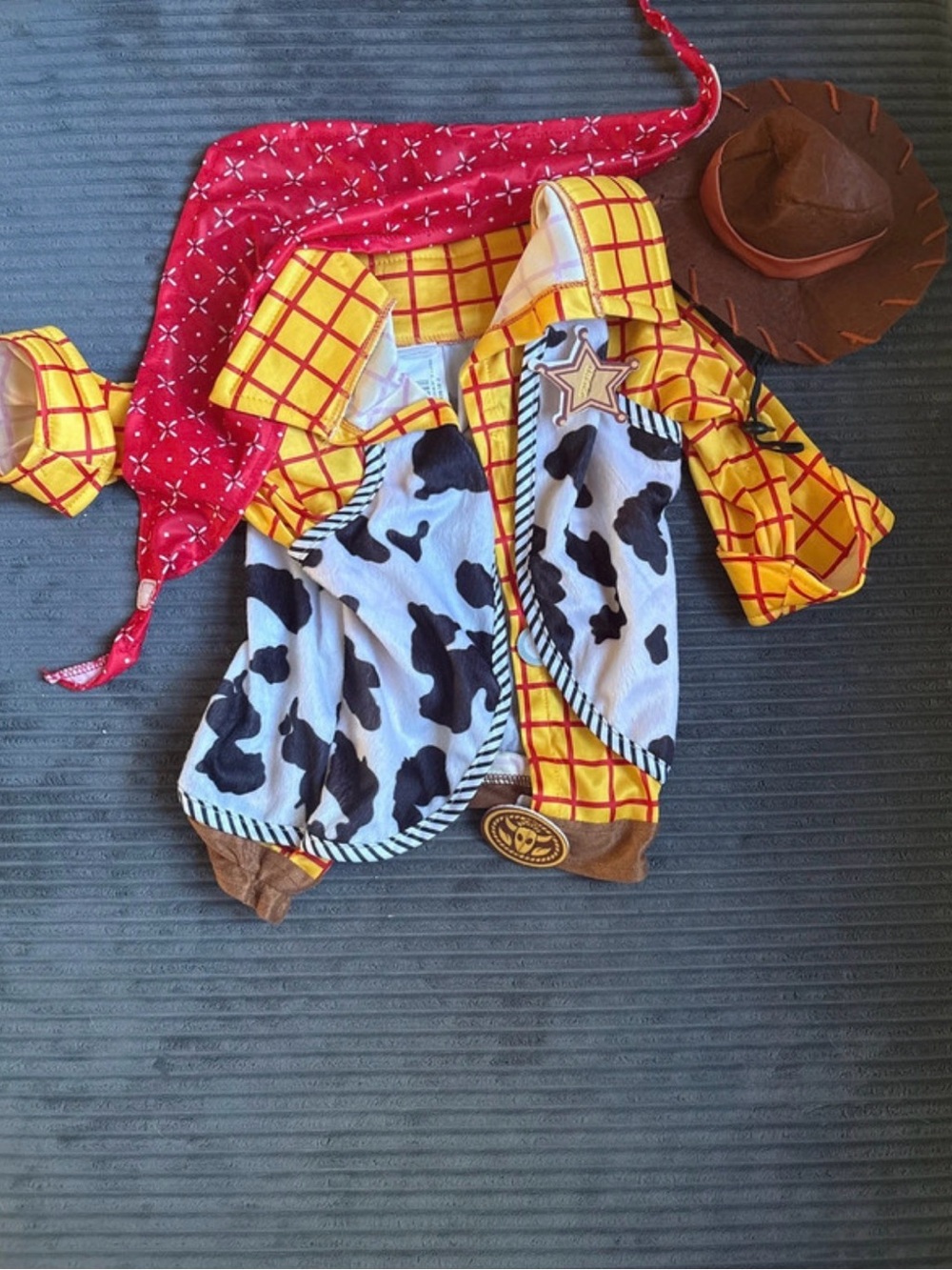 Dog Costume of Woody from Toy Story